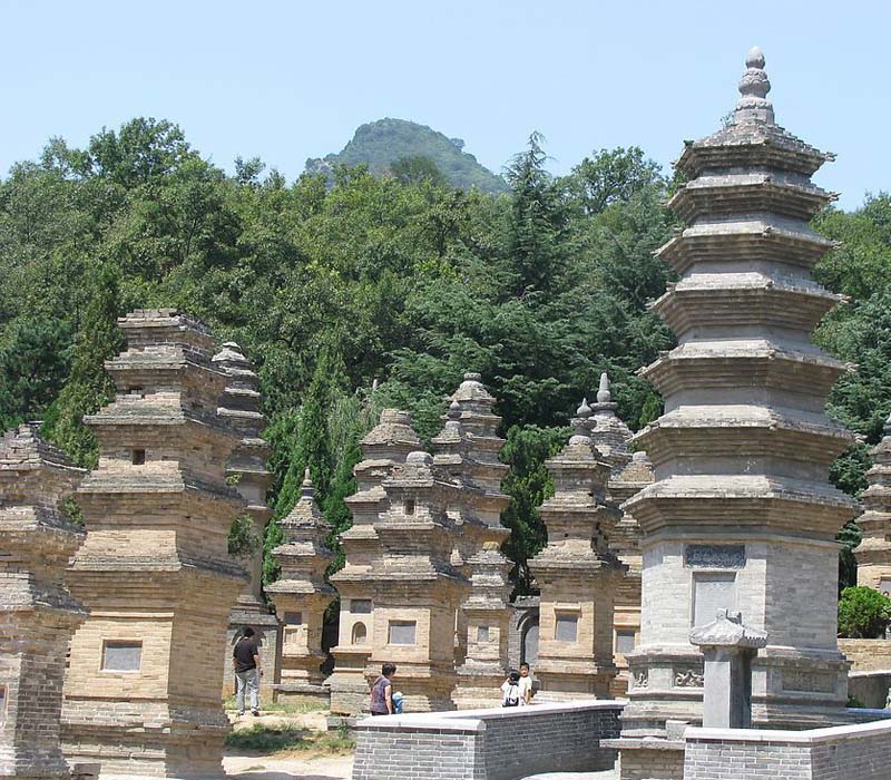 �Ƿ�������