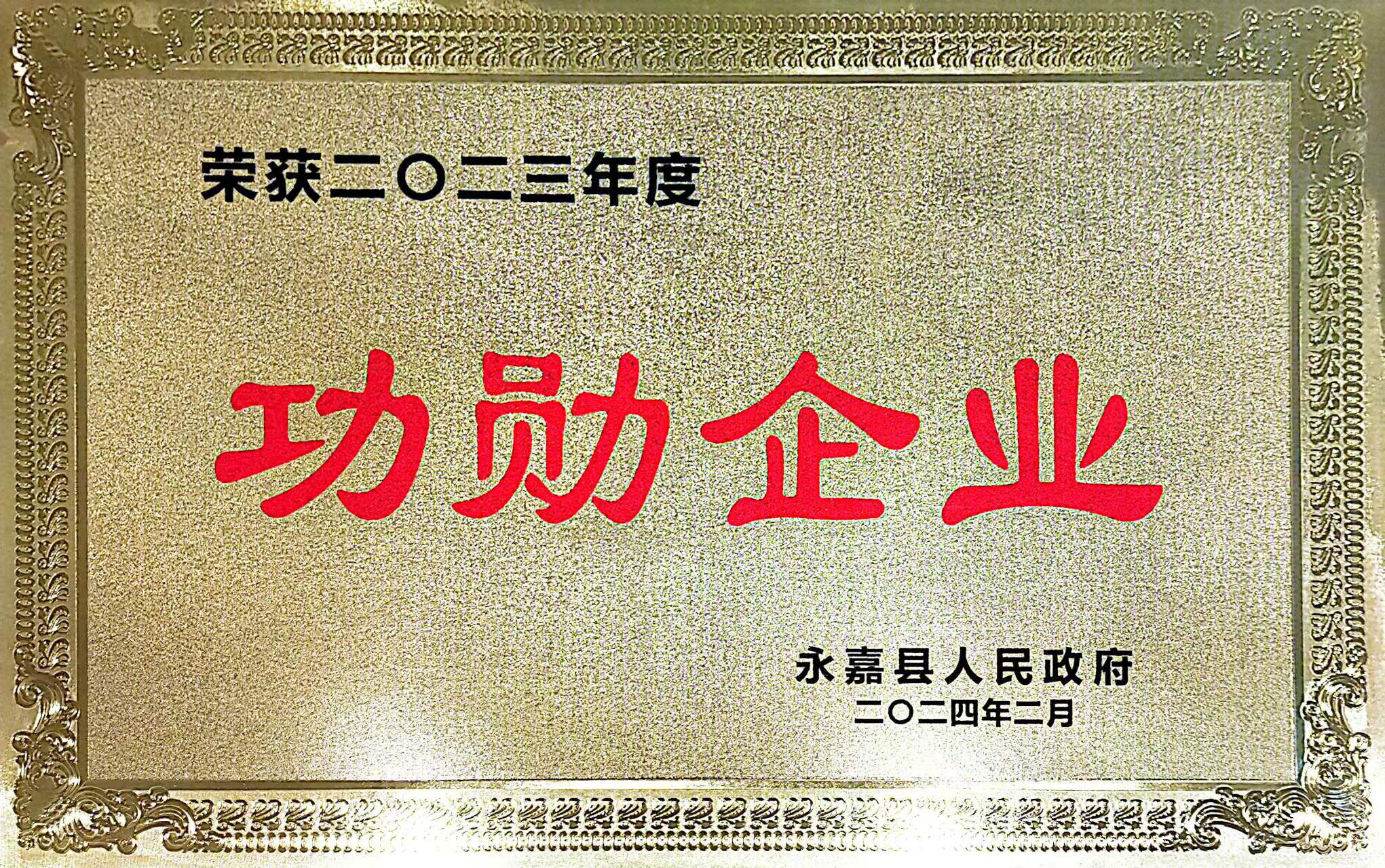 喜報(bào)！凱奇集團(tuán)榮獲永嘉縣“功勛企業(yè)”等榮譽(yù)稱號(hào)